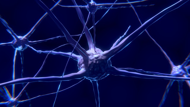 imagen sobre la comunicación neuronal, los mecanismos de la transmisión sináptica